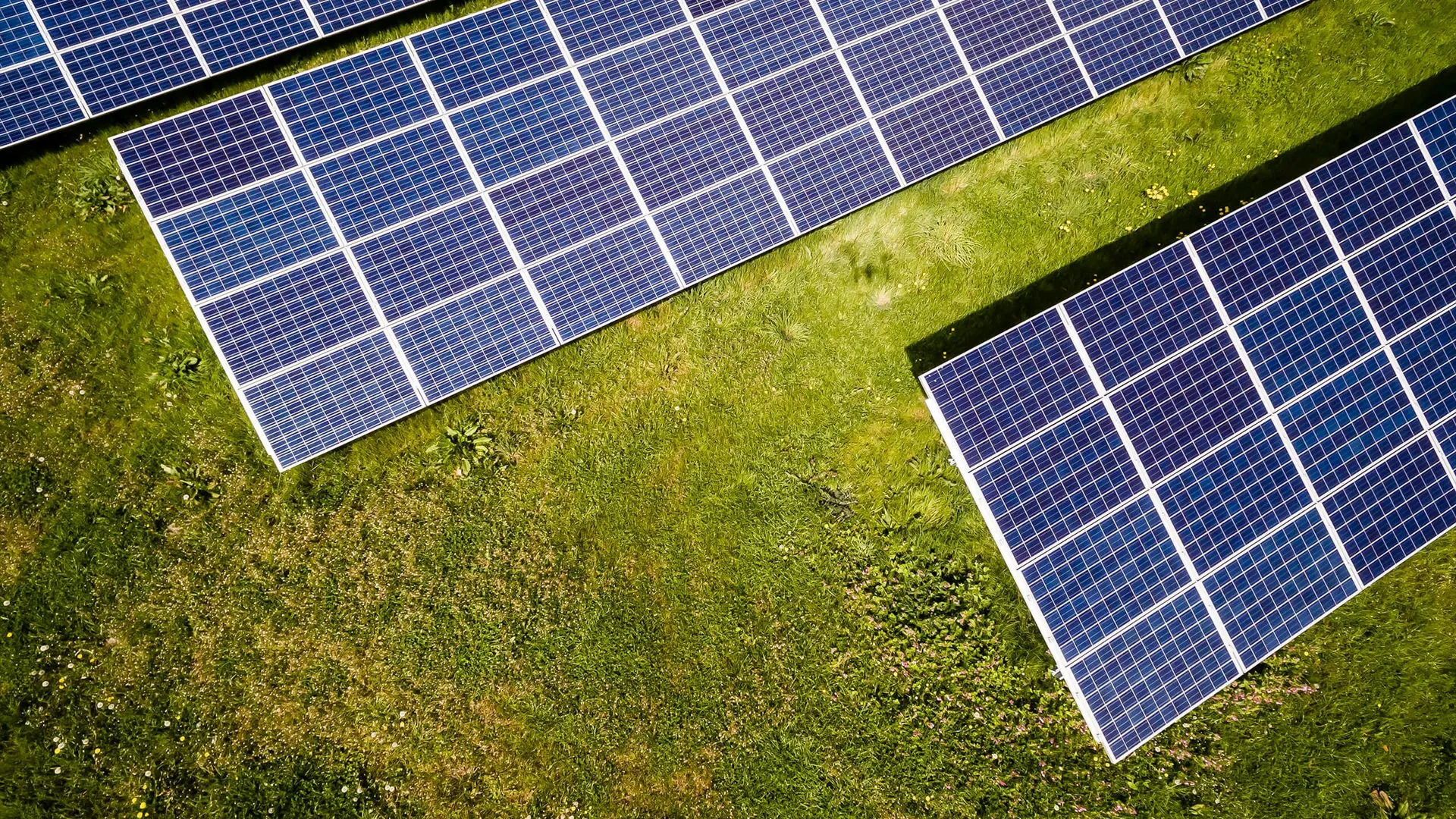 Photovoltaic panels on grass